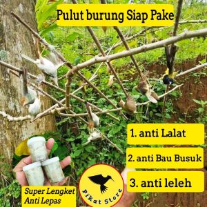 PULUT BURUNG LEM BURUNG GETAH BURUNG GETAH BENDO LEM PIKAT BURUNG PULUT PIKAT BURUNG GETAH PIKAT BURUNG LEM PULUT GETAH PIKAT BURUNG JEBAKAN BURUNG PERANGKAP BURUNG ALAT JEBAK BURUNG JEBAK PIKAT BURUNG
