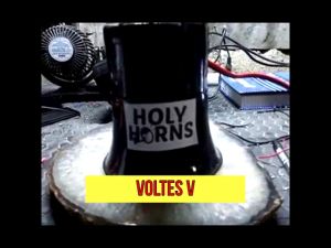 BACKHORN ⭐VOLTES V⭐ BACKHORN 12-24VOLTS INNOVATIVE VOICE WARNING BACKING ALARM back horn for truck 24v
