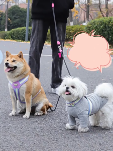 Double Pet Dog Leash for 2 Dogs Hands Free Dog Rope Leash Waist Shoulder Wear Dogs Walking Running