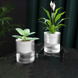 Mini Planter & Self Watering Flowerpot: A Guide to Indoor Succulent & Hydroponic Plants