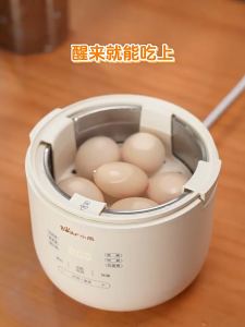 Bear Multi-functional Egg Cooker Steamer Timed Egg Boiler Reservation New Style Automatic Power-off Household Handy Tool Small Egg Steamer