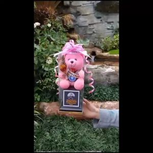 PIALA BONEKA WISUDA MIKA / TROPHY MIKA BONEKA / HADIAH WISUDA / FREE REQUEST NAMA FOTO DAN LOGO / HADIAH KELULUSAN