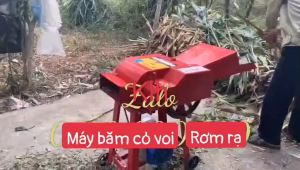 Máy băm thân cỏ voi rơm rạ .ông suất 4 ngựa