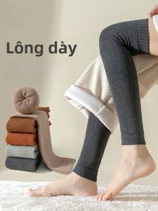 MiiOW | Tất ống dài qua đầu gối dày dặn chống trượt cho nữ mùa đông ấm áp bảo vệ đầu gối và bắp chân tất cao đến đầu gối