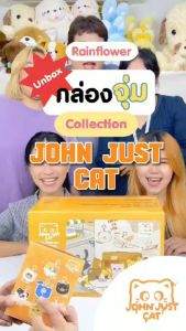 Rainflower กล่องสุ่มที่ใส่บัตรแมว John just cat 2024 สินค้าพร้อมส่ง
