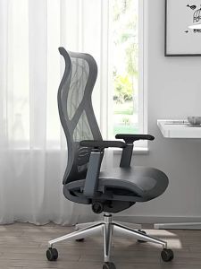SG🥇Ready Stock🥇🥇 283A Ergonomic Office Chair High Back Computer Study Chair With Adjustable Lumber Support - Free Installation🛠️ Free Delivery🚚