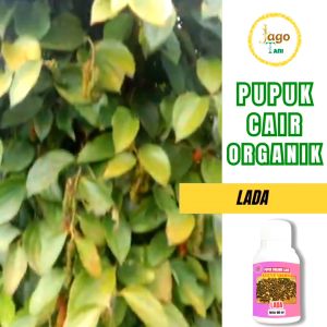 Pupuk Organik Cair Lada 100 Ml Hormon Pemicu Pelebat Tanaman Dan Tumbuh Subur By Jagotani Yogyakarta