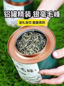 XINYIHAO | High Mountain Bi Luo Chun Green Tea 2026 Fresh Early Picked Daily Drinkable Cold Brew