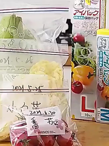 【SG SELLER】Thickened PE Food Box Sealed Bag Self-Sealing -Keeping Storage Bag Practical And Efficient Household Organizer