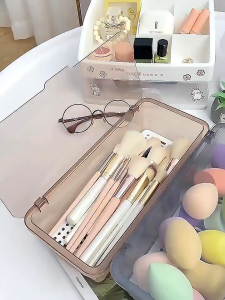 Transparent Kitchen Utensil Holder Chopsticks Storage Box Dustproof Organizer with 2 Colors Chopsticks