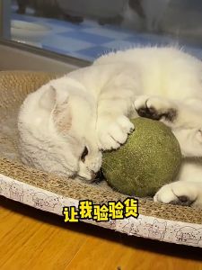 ขนาดคิงไซส์ แคทนิปบอล กัญชาแมว catnip ball 10cm กัญชาแมว ของเล่นแมวเลีย ติดกำแพง ของเล่น สำหรับแมว สำหรับสัตว์เลี้ยง