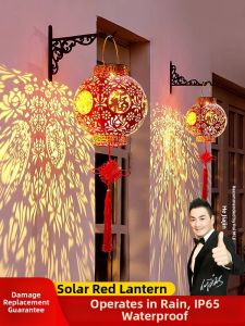 PAIMIJI | Festival Decorative Light for Home and Outdoor Use