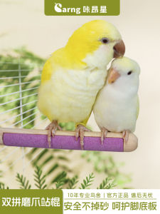 Kangxing Parrot Toy Double Layered Claw Grinding Stick Peacock Turquoise Parrot Tooth Grinding Stick Pekin Duck Health Care