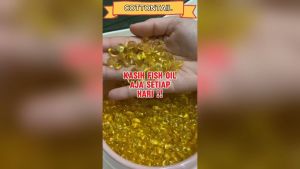 Vitamin Penambah Nafsu Makan Kucing Anjing Minyak Ikan Isi 500pcs
