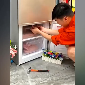 Advanced Refrigerator Temperature Controller with Energy-Saving Switch & Delay Protector