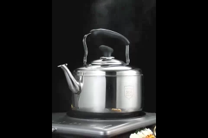 Premium 304 Stainless Steel Whistle Kettle 5L Fast Boil Dual Stove Compatible & Cool-Touch Handle