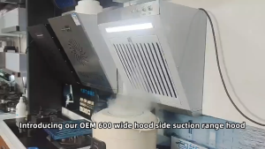 TIXX Side Suction Range Hood 40CM Exhaust for Kitchen 50m³/min Strong Suction Low Noise With Light Household For Restaurant