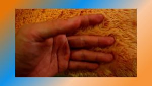 Sarung Bantal Bulu Sofa Ukuran 40x40cm & 30x30cm Elastis Glossy