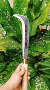 Liềm rửa dừa - ngoặc vệ sinh dừa - dao phát cảnh - phát bụi - dọn vườn thép nhíp cán dài