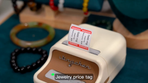 NIIMBOT B21Pro Label Printer&Photo Label Stickers | Home/School/Office Smart Portable Bluetooth