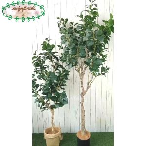 Pohon Artificial Pohon Kacang T130 & T170 Latex Pot Dasar Hitam Cover Purun Handle Hiasan Ruang Tamu