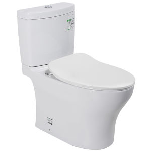 Rear Discharge Flush Toilet
