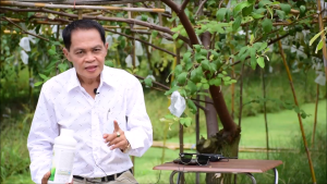 ของแท้!! ไม่ผสมน้ำ เอฟอช Aforch สารจับใบ 1000 ซีซี ซึมเข้าใบเร็ว 2-3 นาที สารผสมนำเข้าจากเยอรมัน ไม่ทิ้งสารตกค้าง ปลอดภัยต่อเกษตรกร ผสมฮอร์โมนทุกชนิด