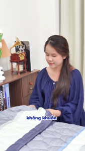 [Quà - Giao Mẫu Ngẫu Nhiên] Vỏ Gối Ôm Tencel Hương Bạc Hà mát lạnh Chavina Bedding size 35x100 cm Nano tinh chất Bạc Hà