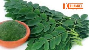 Obat Kelosin HNI HPAI Kapsul Herbal Alam | Meningkatkan IQ Otak | Suplemen Otak & Memori Daya Ingat