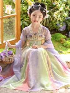 Elegant Traditional Chinese Costume Girls Summer Dress Fairy Tale Princess Style Short Sleeve Children Tang Suit Skirt for Kids