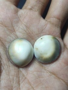 Batu posil kol buntet asli dapat 2 pics