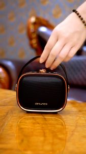 AWEI Y889 Portable Bluetooth Karaoke Speaker With Wireless Mic (Black) | 10W Super Bass USB TF Card Mini Speakers Microphone