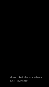 มะเขือเทศ ซีซันเรด382 (10 กรัม) เพื่อนเกษตรกร จากไต้หวัน รสชาติดี ปลูกง่าย ทนโรค ทนร้อน เก็บเกี่ยวได้เร็ว