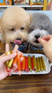 120 PCS Pet Sausage Dog Sausage 15g Cat Sausage Pet Snack Cat Dog Food Treats Ham Dog Training Sausage