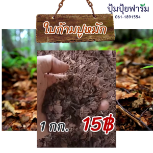 ใบก้ามปูหมักธรรมชาติ  สำหรับผสมดินปลูก ออแกนิกซ์ 100%