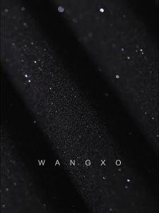 WANGXO | High Waist Flare Pants and Sleeveless Top Set