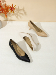 Pointed Toe High Heel Pumps