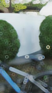 MINIMOV BAG Red Tas ransel pria sekolah outdoor traveling laptop 25 liter FREE COVER BAG