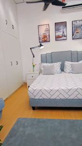 F&F : E1 Grade KASHAN SET Luxury Swiss-Foundation Divan Queen Bed Frame Katil queen (Low Formaldehyde)