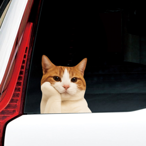 สติกเกอร์ตกแต่งรถยนต์ ป้องกันน้ำ ลายแมว วันฝนตก ติดหน้ารถ ป้องกันรอยขีดข่วน ดีไซน์สร้างสรรค์ ติดได้ทุกที่ในรถ