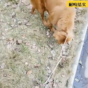 OTA โซ่หมา โซ่ล่ามหมา โซ่สุนัขเล็ก สายจูงสุนัข สายจูงสัตว์เลี้ยง โซ่จูงสัตว์ แมว หนา 2mm ยาว 150 cm