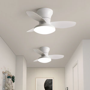 [China Plug Without Adapter] Kairui | Small Silent Fan Light with App Control