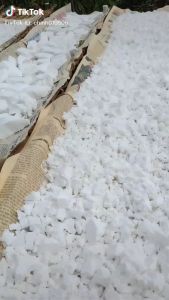 1Kg BỘT SẮN DÂY TA NGUYÊN CHẤT CAM KẾT CHUẨN