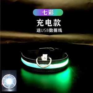 ปลอกคอเรืองแสงสำหรับสุนัขปลอกคอสำหรับสุนัขตัวเล็กพุดเดิ้ลจี้กระดิ่งเรืองแสงสำหรับสุนัขขนาดใหญ่และขนาดกลางอุปกรณ์วิเศษสำหรับสุนัขเดินเล่นเรืองแสงสำหรับสัตว์เลี้ยง