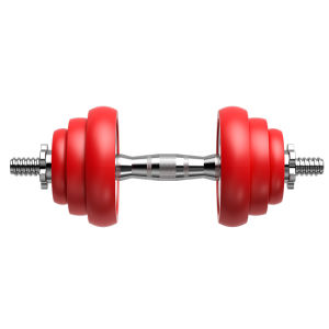 KDST | Adjustable Weight Coated Dumbbell Set