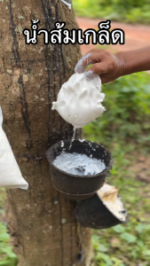 น้ำส้มเกล็ด ทำยางแข็งตัวเร็ว น้ำหนักดีสีสวย ไม่มีกลิ่นเหม็น ไม่มีฤทธิ์เป็นกรด ใช้งานง่าย พกพาสะดวก