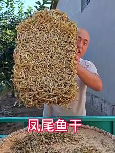 Wild Deep-sea Silver Fish Dried Salted Fish