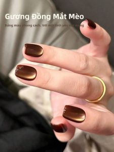 Sơn Gel Móng Tay Mắt Mèo Vàng 12ml Màu Nâu Đồng Gương Bóng Kiểu Mới Thu 2025 Một Hộp