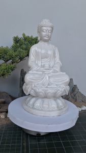 Tượng phật adida (nhiều màu sắc) cao 25cm. trang trí tiểu cảnh bonsai ghép lũa để bàn trà phòng khách bàn làm việc trên ô tô đồ thờ cúng phong thủy