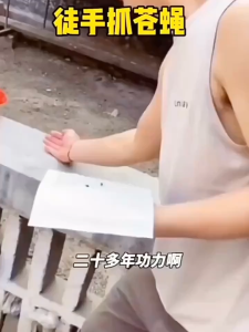 send fly killer powder 100pcs Sticky fly paper Fly Glue Board Fly Sticker Insect Trap Board Flies Fly Trap Catcher Bugs Insects Catcher Board